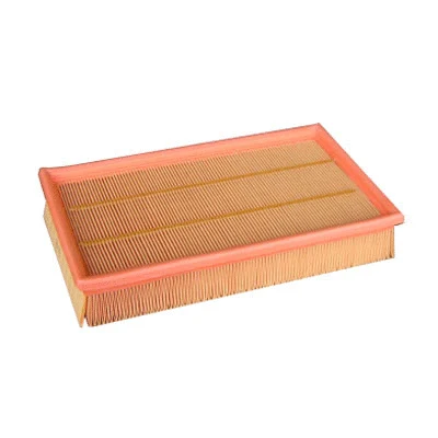 Air Filter (FA-4770)