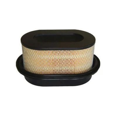 Air Filter (FA-318)