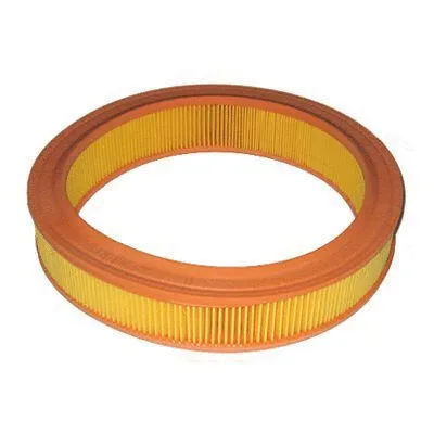 Air Filter (FA-80)