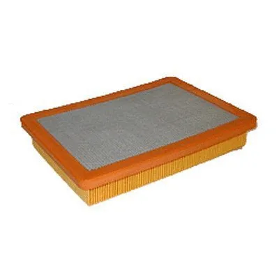 Air Filter (FA-2800)