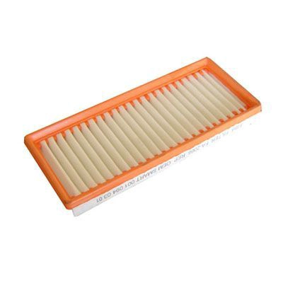 Air Filter (FA-2066)