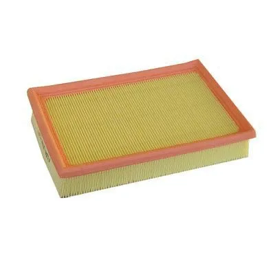 Air Filter (FA-3070)