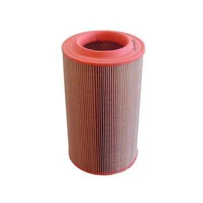 Air Filter (FA-2080)