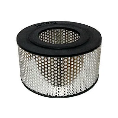 Air Filter (FA-216)