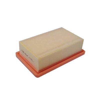 Air Filter (FA-8806)