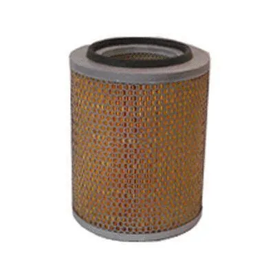 Air Filter (FC-435)