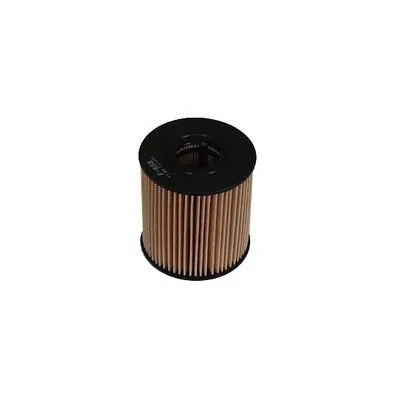 Oil Filter (F-658)