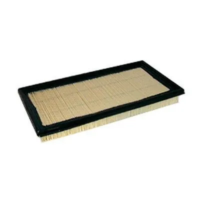 Air Filter (FA-275)