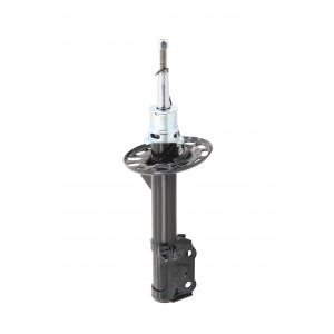 Shock Absorber (FSA619)