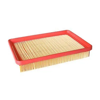 Air Filter (FA-379)