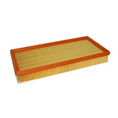 Air Filter (FA-311)