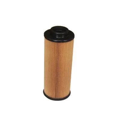 Oil Filter (F-807)