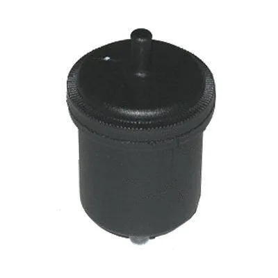 Fuel Filter (FB-2)