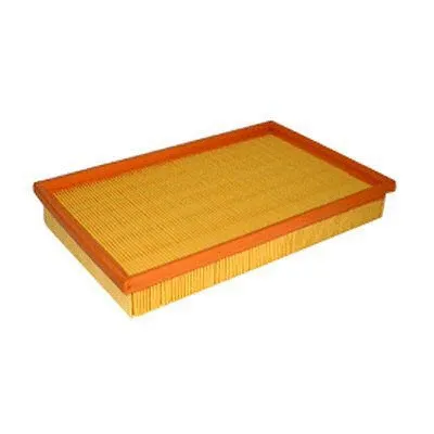 Air Filter (FA-29910)