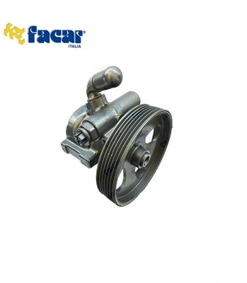 Hydraulic Pump, steering (806060)