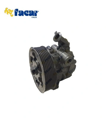 Hydraulic Pump, steering (810031)