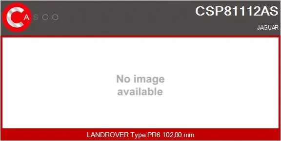 Hydraulic Pump, steering (CSP81112AS)