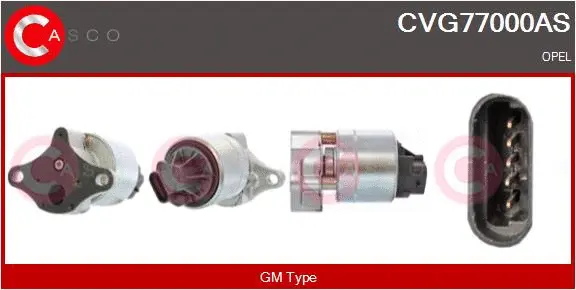 EGR Valve (CVG77000AS)