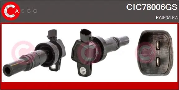 Ignition Coil (CIC78006GS)