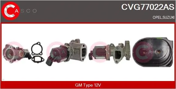 EGR Valve (CVG77022AS)