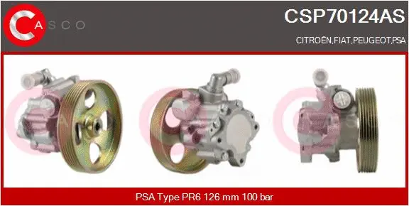 Hydraulic Pump, steering (CSP70124AS)