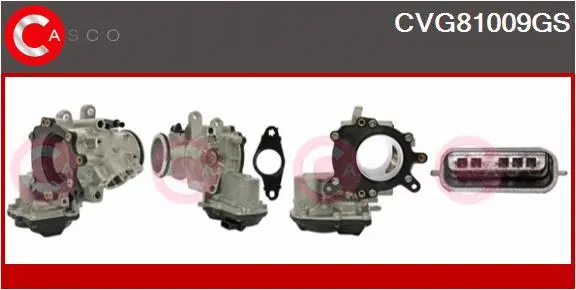 EGR Valve (CVG81009GS)
