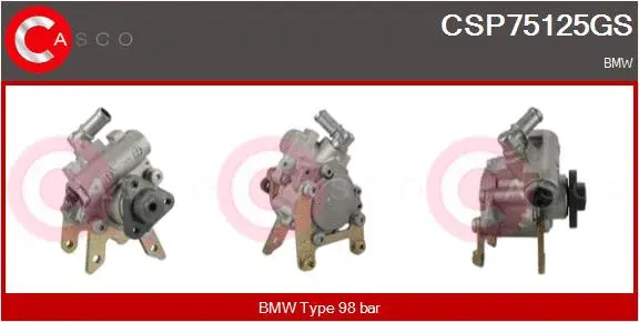 Hydraulic Pump, steering (CSP75125GS)