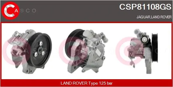 Hydraulic Pump, steering (CSP81108GS)