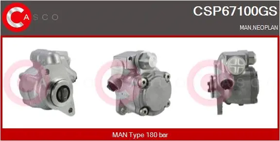 Hydraulic Pump, steering (CSP67100GS)