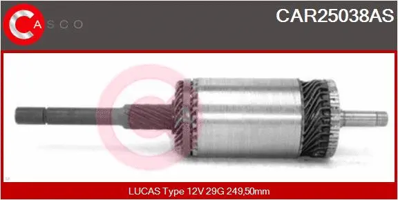 Armature, starter (CAR25038AS)