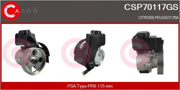 Hydraulic Pump, steering (CSP70117GS)