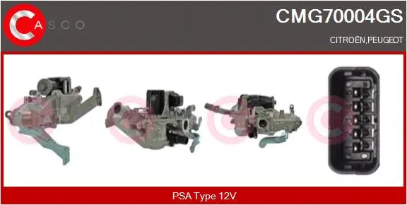 EGR Module (CMG70004GS)