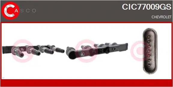 Ignition Coil (CIC77009GS)