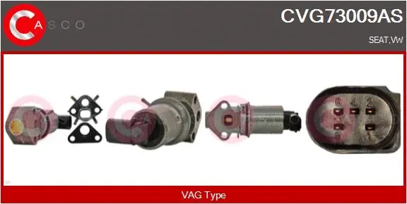EGR Valve (CVG73009AS)