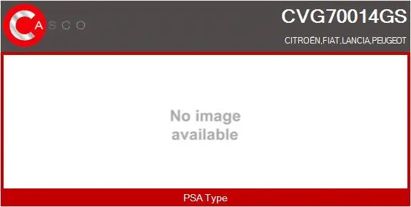 EGR Valve (CVG70014GS)