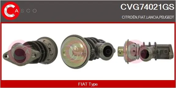 EGR Valve (CVG74021GS)