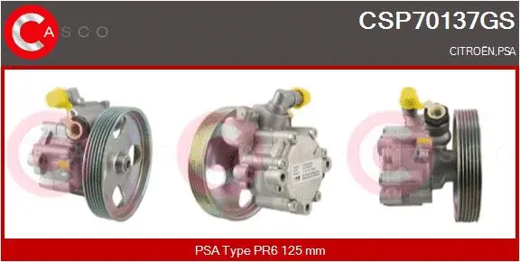 Hydraulic Pump, steering (CSP70137GS)