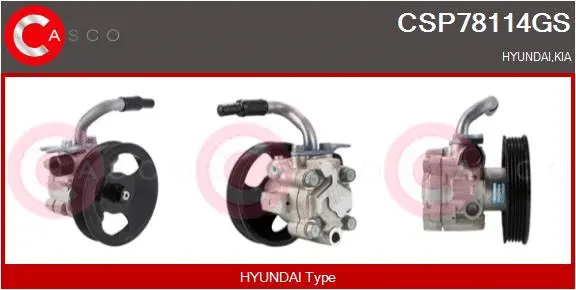 Hydraulic Pump, steering (CSP78114GS)