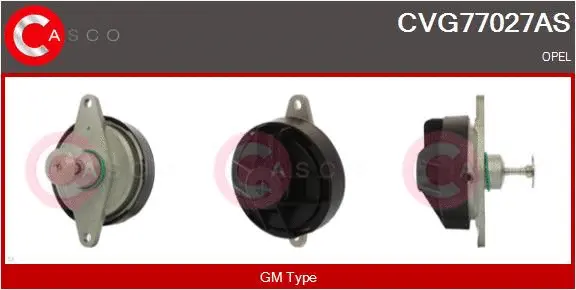 EGR Valve (CVG77027AS)