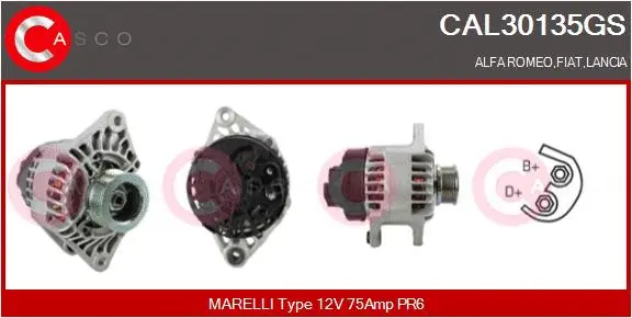 Alternator (CAL30135GS)