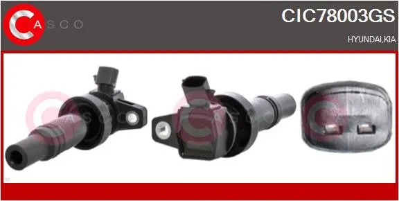 Ignition Coil (CIC78003GS)