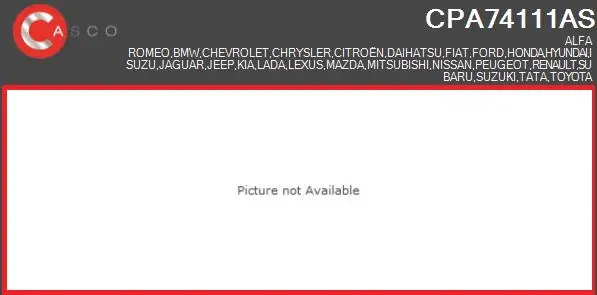 Fuel Pump (CPA74111AS)