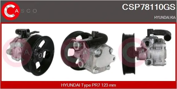 Hydraulic Pump, steering (CSP78110GS)
