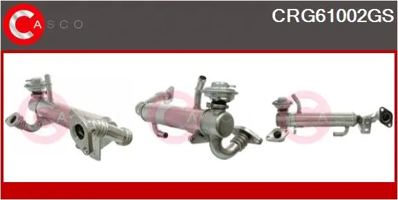 Cooler, exhaust gas recirculation (CRG61002GS)