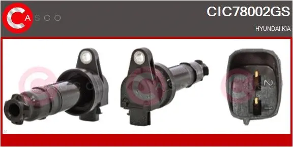 Ignition Coil (CIC78002GS)