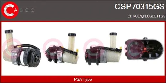 Hydraulic Pump, steering (CSP70315GS)
