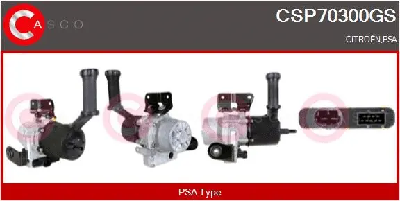 Hydraulic Pump, steering (CSP70300GS)