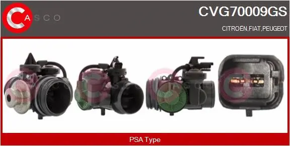 EGR Valve (CVG70009GS)