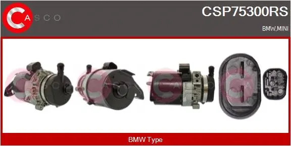 Hydraulic Pump, steering (CSP75300RS)