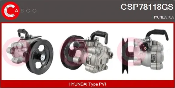 Hydraulic Pump, steering (CSP78118GS)